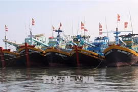 Provincia vietnamita toma medidas concertadas para prevenir pesca ilegal