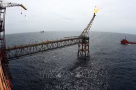 Modifican por completo Ley de Petróleo en Vietnam en la nueva situación