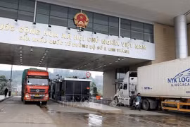 Vietnam y China cooperan en facilitar despacho aduanero en puerta fronteriza