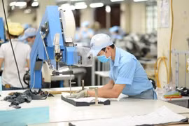 CPTPP - Oportunidades y desafíos para exportaciones vietnamitas