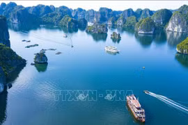 Ciudad vietnamita de Hai Phong por impulsar desarrollo de transformación digital