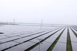 Vietnam lidera la región del Sudeste Asiático en transición a la energía limpia