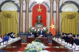 Presidente vietnamita defiende mayor atención del Estado a los asuntos étnicos