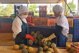 Vietnam trabaja por exportar más productos agroforestales y acuáticos a UE
