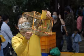 Liberación de aves: buen hábito de los hanoyenses en el Festival Vu Lan