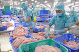  China aumenta importación de productos acuáticos de Vietnam