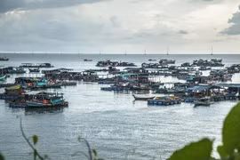 Vietnam por promover desarrollo sostenible de economía marina