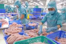 Promueve Vietnam exportación de productos acuáticos a mercados de RCEP