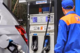 Ministerio vietnamita presenta plan para reducir impuesto especial sobre gasolina y petróleo 