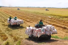 Debaten en Vietnam garantía de seguridad alimentaria