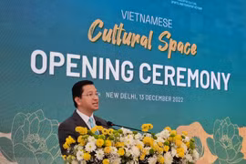 Foro promueve el turismo de Vietnam en la India