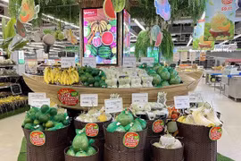 Vietnam lanza diversas soluciones al consumo de productos agrícolas domésticos