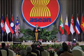 Celebra 55 aniversario del Día de la ASEAN en Yarkarta 
