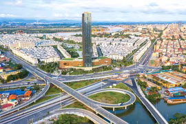 Ciudad vietnamita capta fondo multimillonario de inversión extranjera