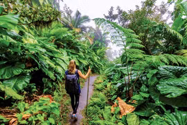 Localidades vietnamitas aceleran transformación digital en el turismo