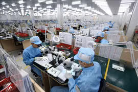 Hanoi busca soluciones para promover el desarrollo de industrias de apoyo