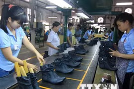 Acuerdo EVFTA impulsa comercio entre Vietnam y Unión Europea 