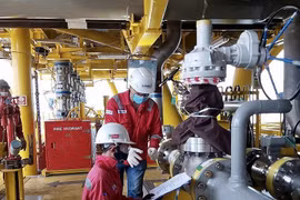 PetroVietnam expande su negocio a Medio Oriente