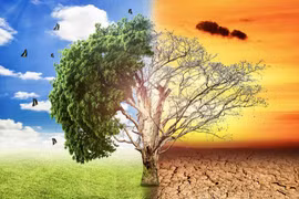 Vietnam pide enfoque integral para abordar desafíos climáticos y ambientales
