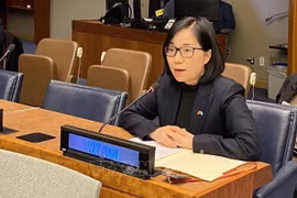 Vietnam resalta ante ONU importancia de descolonización