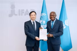 Fondo Internacional de Desarrollo Agrícola aprecia cooperación con Vietnam 