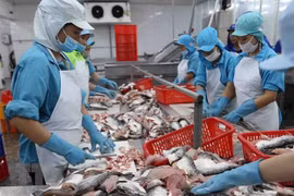 Vietnam y México promueven cooperación comercial