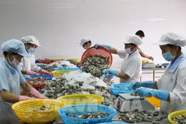 Intercambio comercial Laos -Vietnam aumentará hasta 15 por ciento en 2022