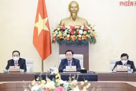Parlamento vietnamita debate cuestiones relativas a ayudas extranjeras no reembolsables