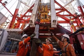 PVN firme en su desarrollo 