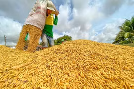Vietnam por establecer espacio para desarrollar economía agrícola