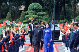 Vietnam y Nigeria fomentan cooperación bilateral