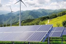 Realizan consulta sobre criterios ambientales para proyectos otorgados de crédito verde