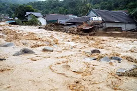 Inundaciones cobran vida de ocho personas en localidades vietnamitas