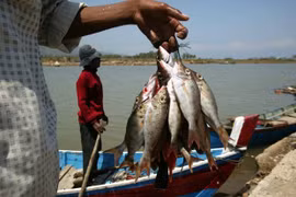Indonesia impulsará la pesca hacia la sostenibilidad
