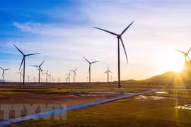 Resaltan potencial de Vietnam para desarrollar energías renovables