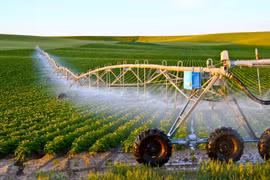 Hanoi lanza estrategia para desarrollo agrícola en periodo 2022-2030