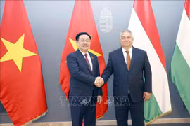 Vietnam profundiza nexos de asociación con Hungría y Reino Unido 