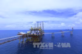 Aplican tecnología de IA en exploración de petróleo y gas en Vietnam