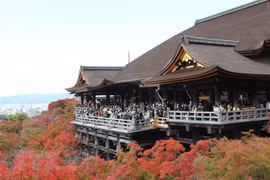Número de turistas vietnamitas en Japón aumenta de manera impresionante