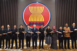Vietnam copreside reunión del Comité Conjunto de Cooperación ASEAN-Corea del Sur