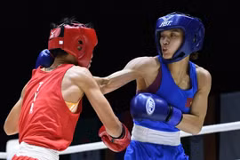 Vietnam gana dos oros en Torneo Internacional Abierto de Boxeo de Tailandia
