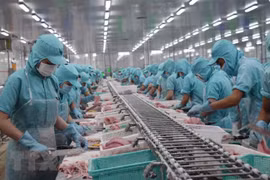 Vietnam busca oportunidades para ampliar la cooperación con África