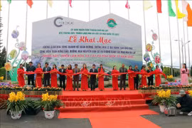 Inauguran en ciudad vietnamita feria internacional de las flores 2022