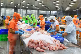 En alza exportaciones vietnamitas de pescado Tra a Estados Unidos