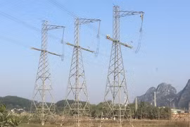 Laos permite estudiar construcción de línea de transmisión eléctrica conectada a Vietnam