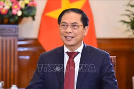 Canciller vietnamita sostiene reuniones bilaterales al margen de 29 Reunión de Líderes Económicos de APEC