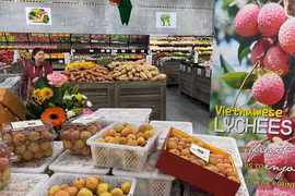 Trasiego mercantil entre Vietnam y Australia logra resultado alentador en ocho meses