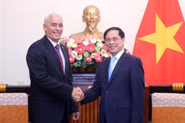 Fortalecen lazos políticos especiales y cooperación integral entre Vietnam y Cuba