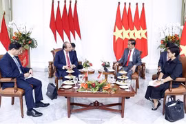 Vietnam e Indonesia acuerdan medidas de enriquecer vínculos bilaterales