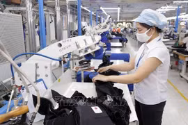 Vietnam y Sierra Leona promueven cooperación comercial e inversionista